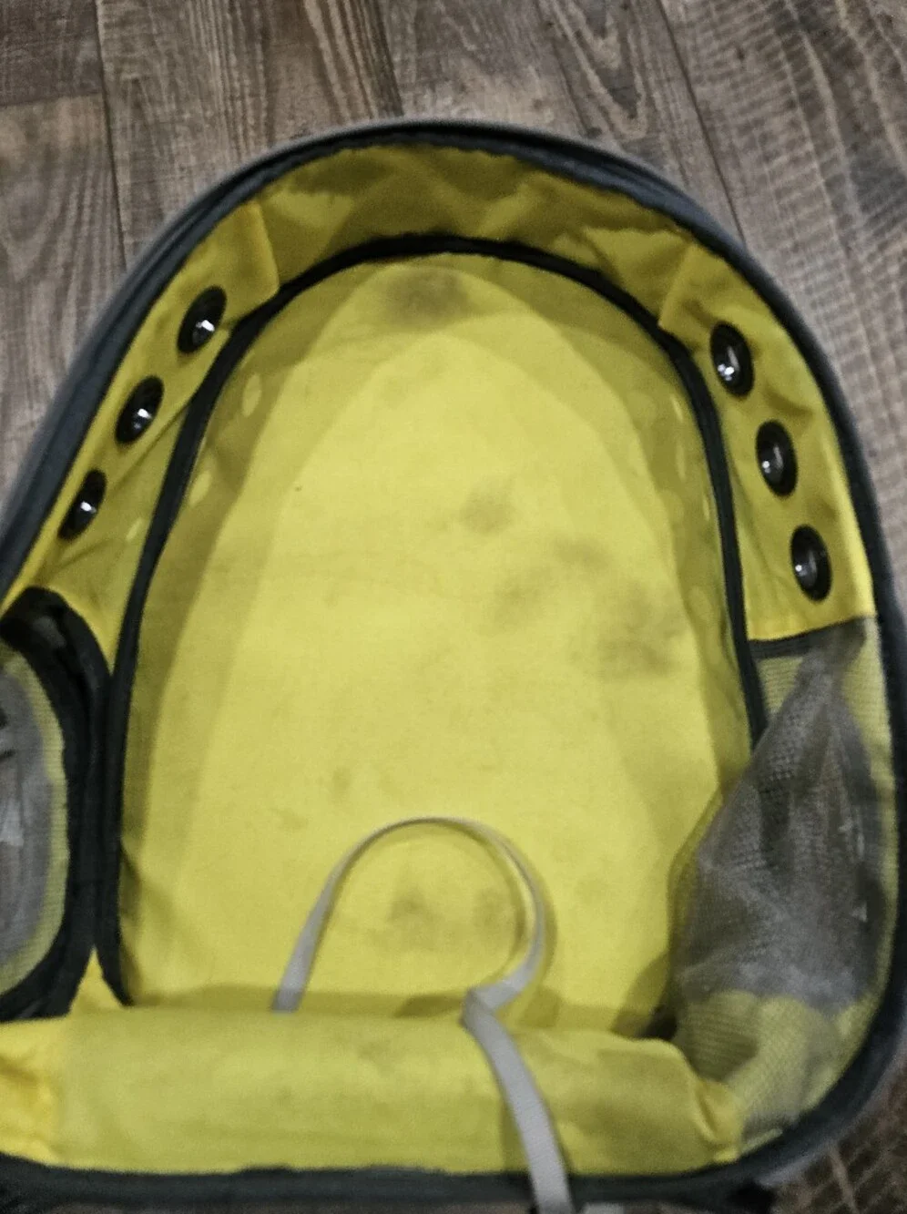 Lollimeow Cat Carrier For Planes Travel Backpack Bubble *Worn, Need Cleaned*